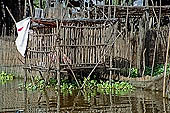 Tonle Sap - Kampong Phluk floating village - stilted houses